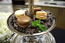 FABRICA AND MASLAND EVENT